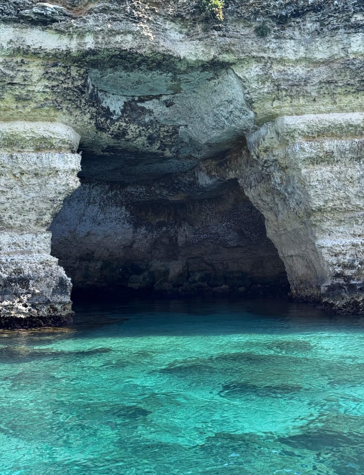 Costa adriatica, escursione privata Nord Estesa